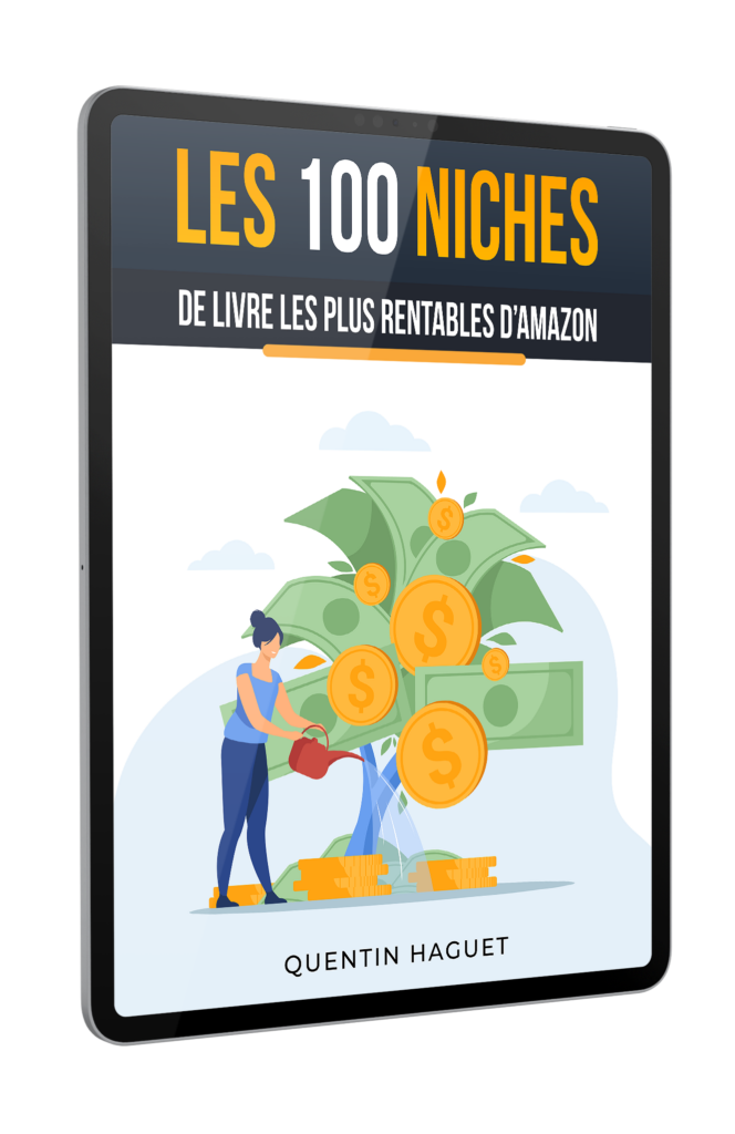 niche de livre amazon kdp