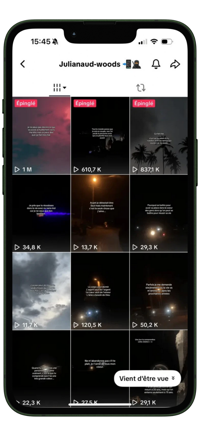 tiktok ebook